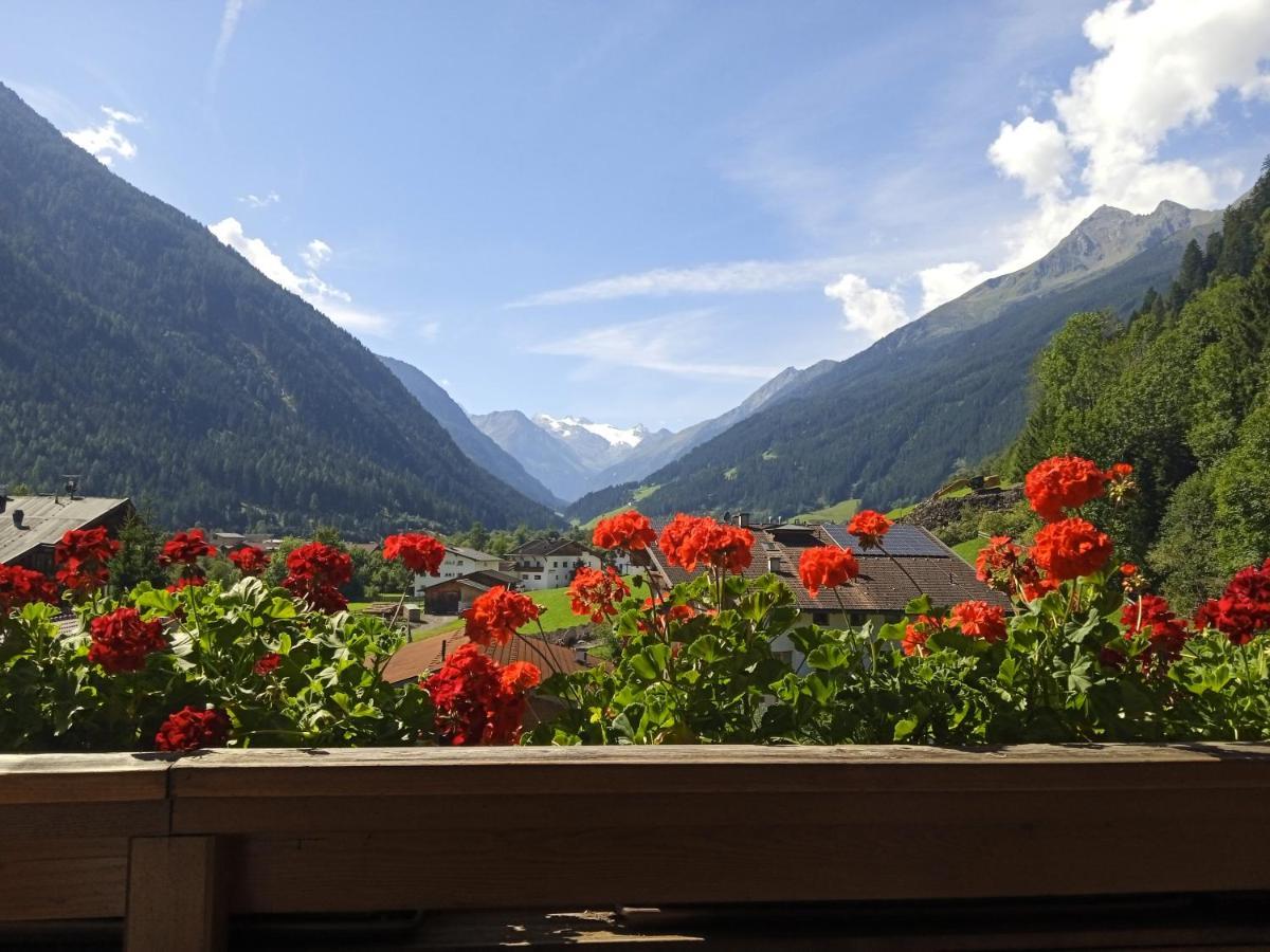 Apartment Fernerblick Neustift im Stubaital Exterior foto